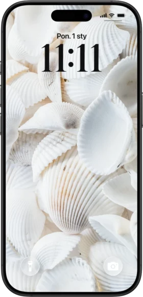 Tapeta na telefon z muszlami