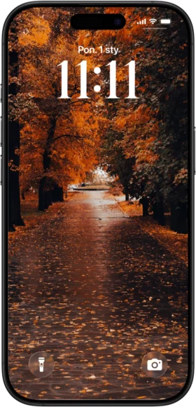 Tapeta na telefon z jesiennymi liśćmi