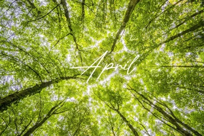 Tapety na kwiecień 2026