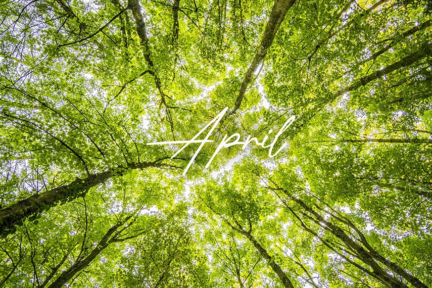 Tapety na kwiecień 2026